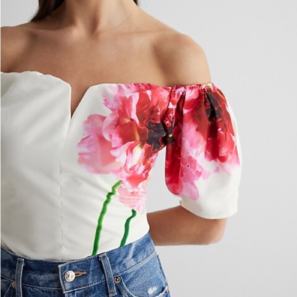 Express Floral V-Wire Off The Shoulder Puff Sleeve Top
